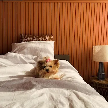 아파트 Johnny 오라샤자