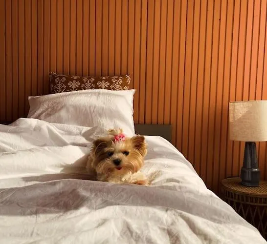 Apartament Johnny Orosháza